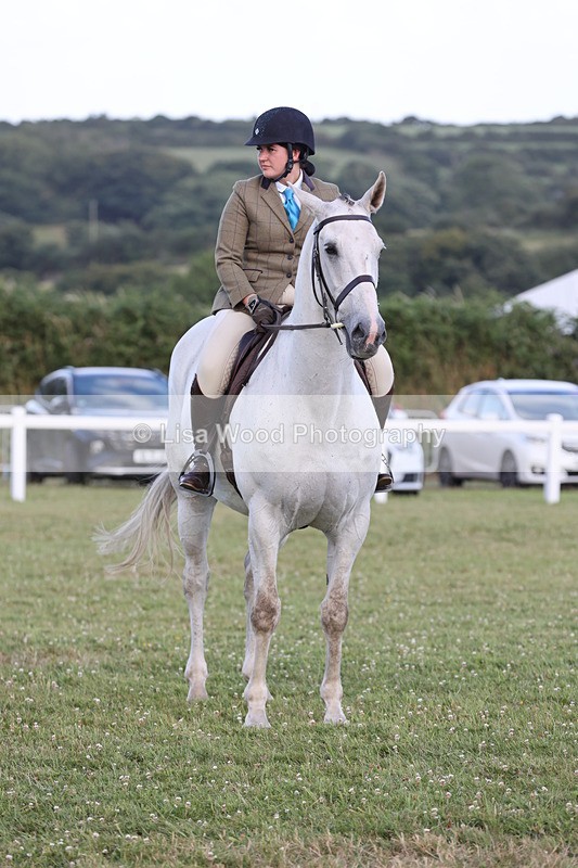 JPP_3550 - Class 22: Working Hunter 90cm