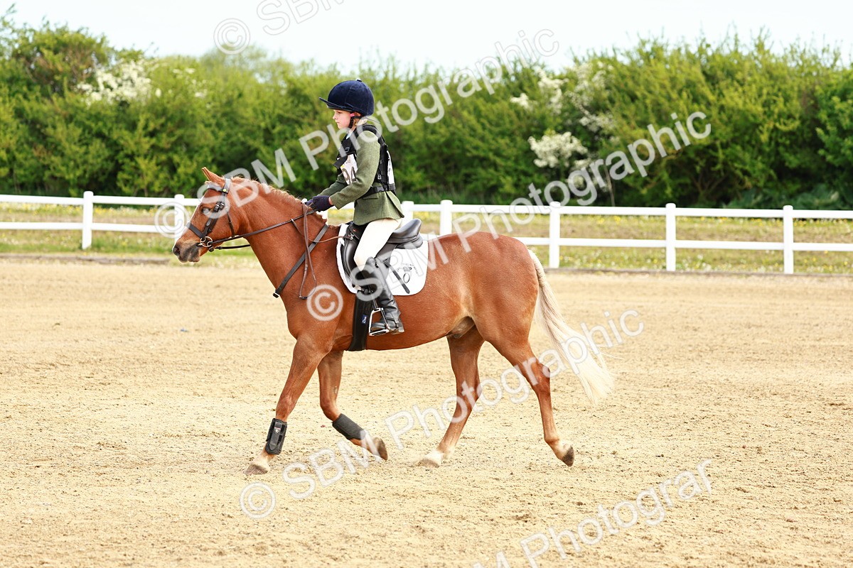 SBM_006545 - Class 1 - 40cm