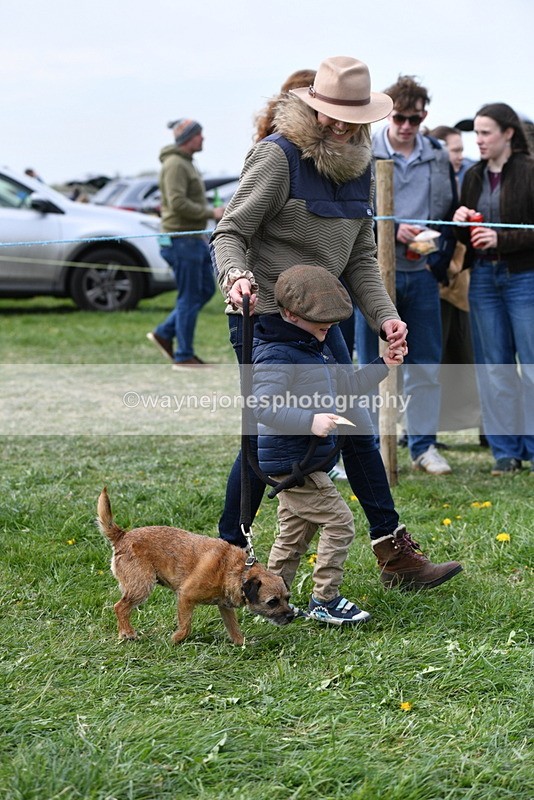 WJ5_0313 - Class 7 Best Terrier