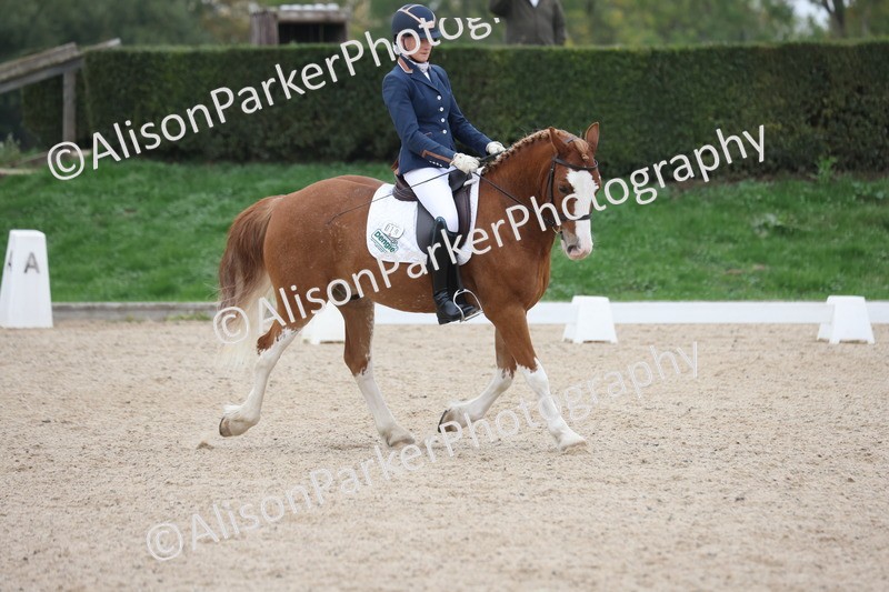 20251011-0413 - Class 4 - Novice 2