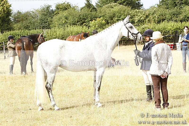 _BS_0521 - BVRC Show 2018 Ring 3