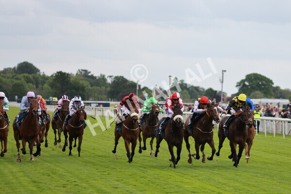 yr21052022r1-22 - Race 1: 1:40pm William Hill Play Responsibly Stakes