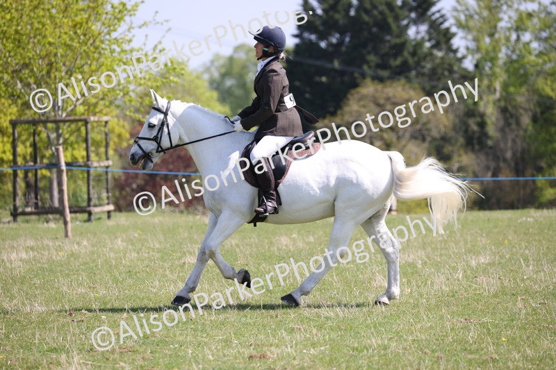 20250427-3213 - Class 33 - Best Pony 14.2hh and Under