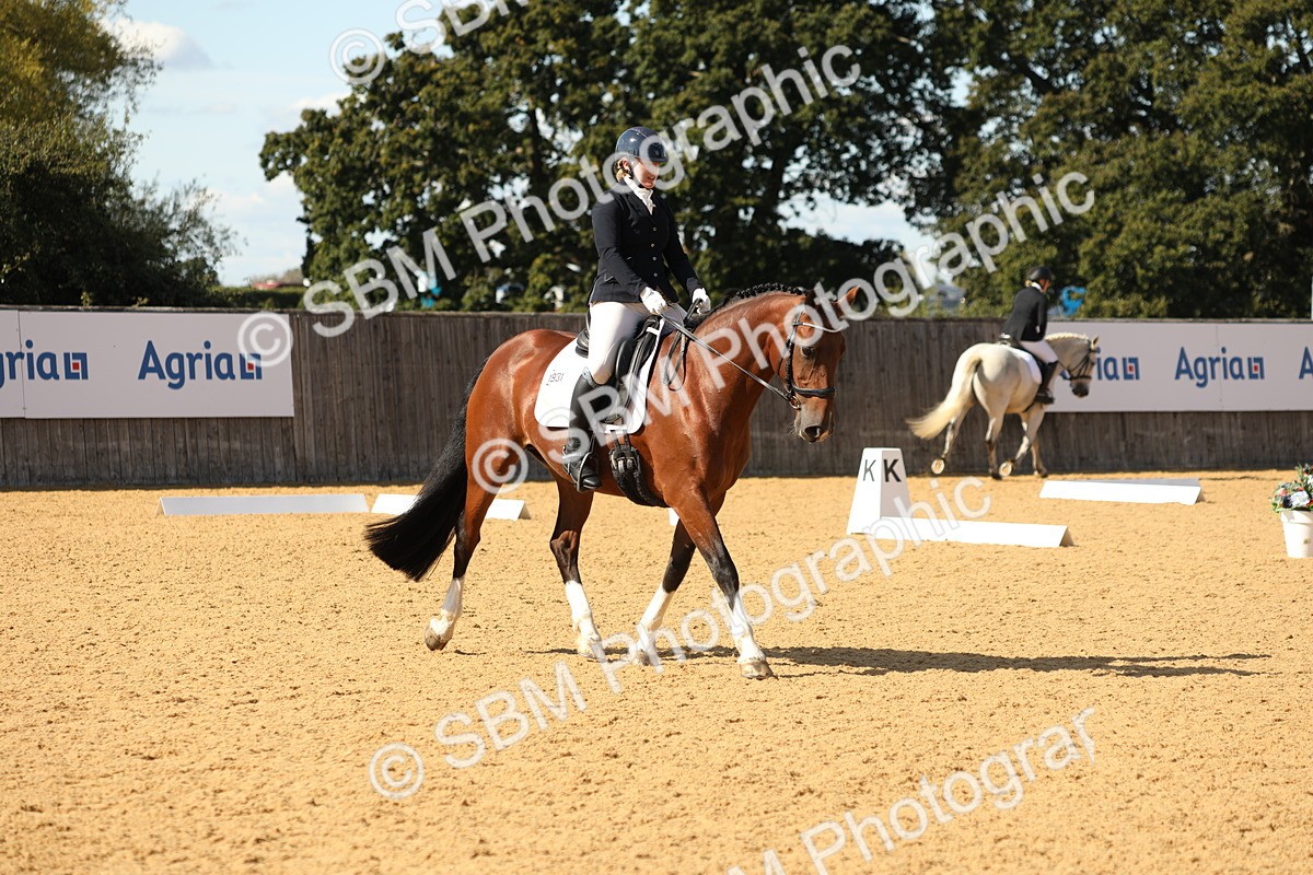 SBM_24543 - D17 - Grand Tour Championship - Novice 27