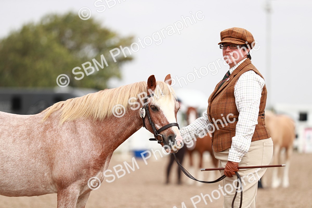 SBM_12511 - Class 207 IH M&M