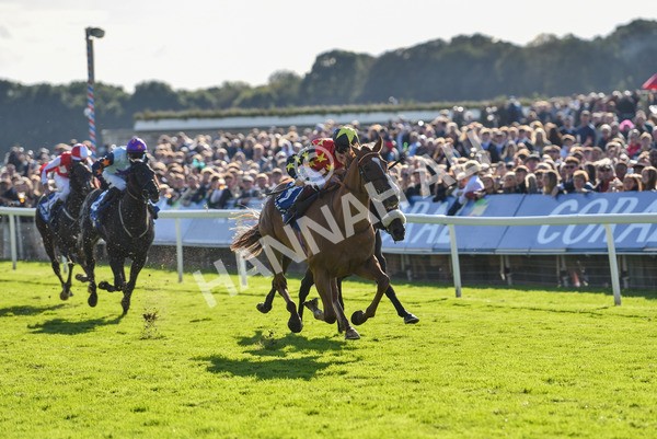 141023-Race 3-Montassib-0987 - Race 3 2.25pm Coral Sprint Trophy Handicap