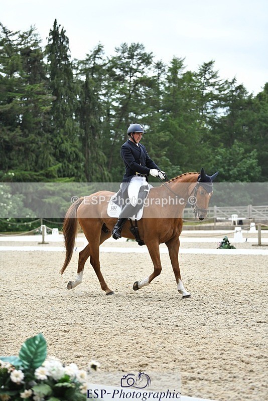 230525-124728-02027 - 111-CREEVAGHSTABLES_IFICUDIWUD-Tim_Cheffings-WEDTrotUp+DR