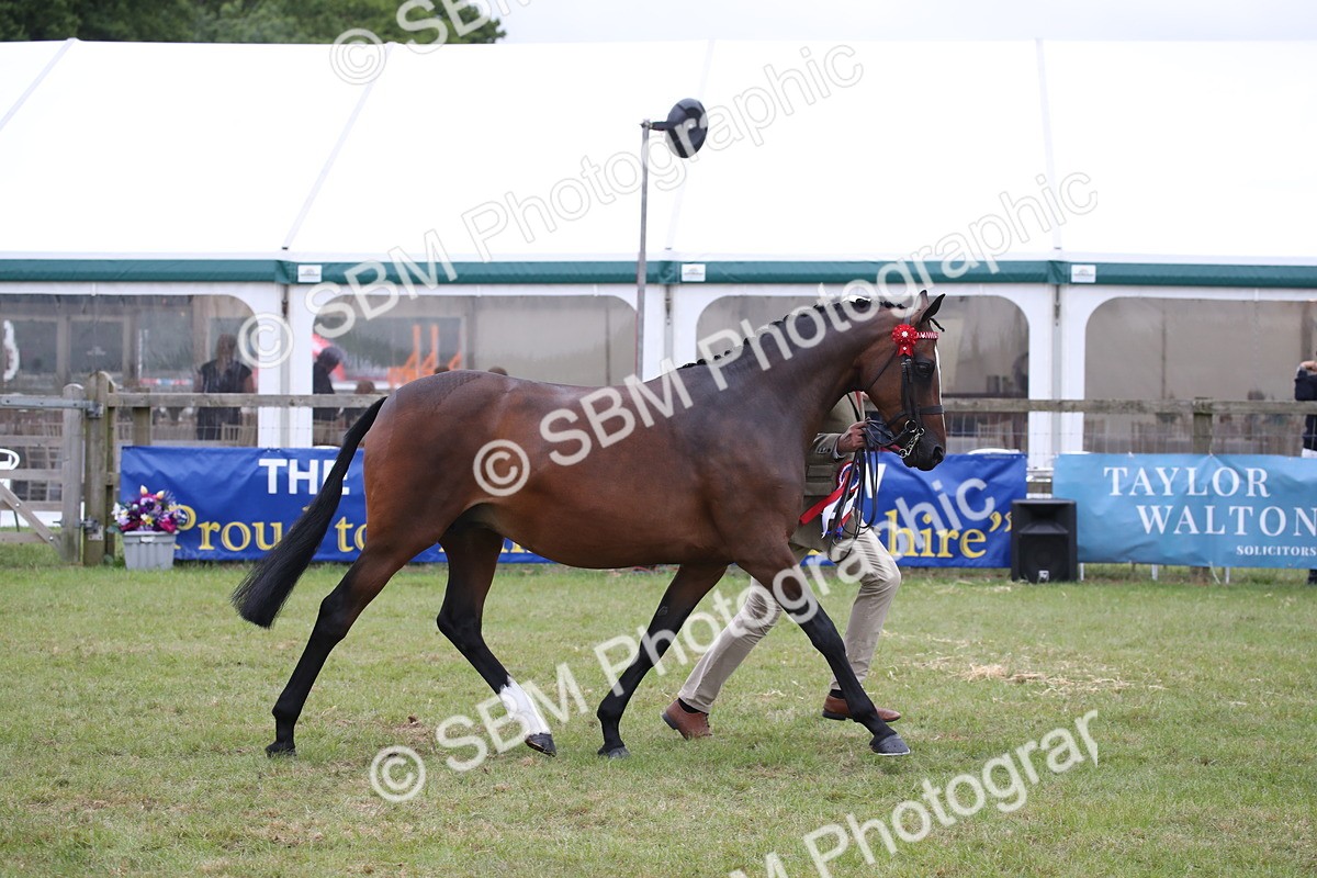 SBM_09844 - Ch 50 - Price Family Supreme In Hand