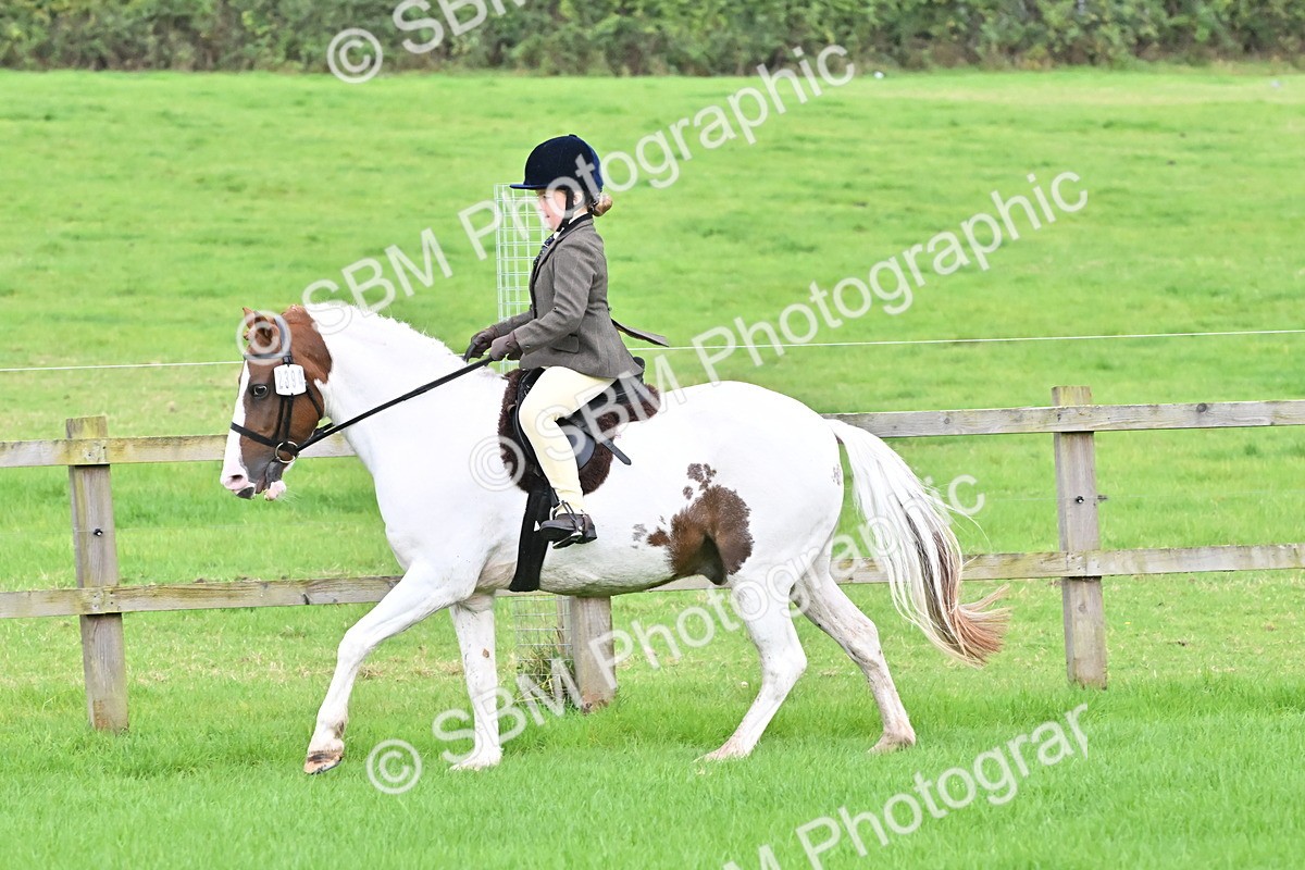 SBM_42904 - S12 - Family Horse & Pony