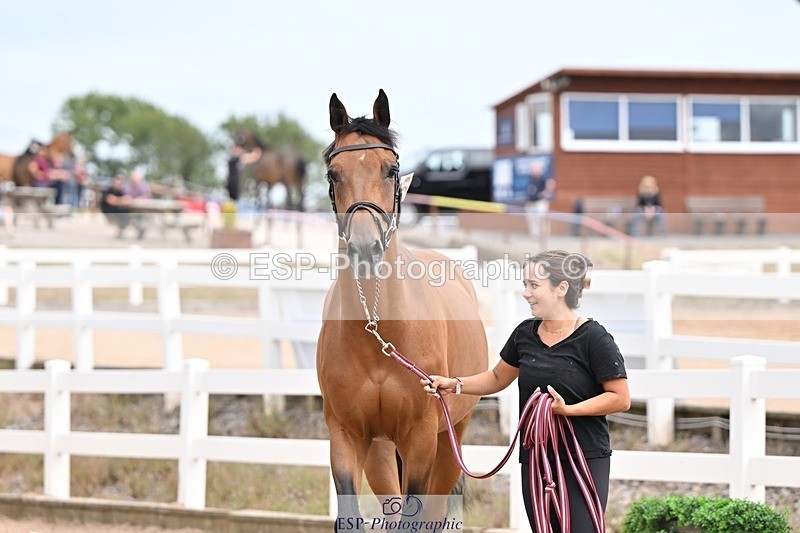 250716-153323-02007 - Trot Up 3.30 to 4.30