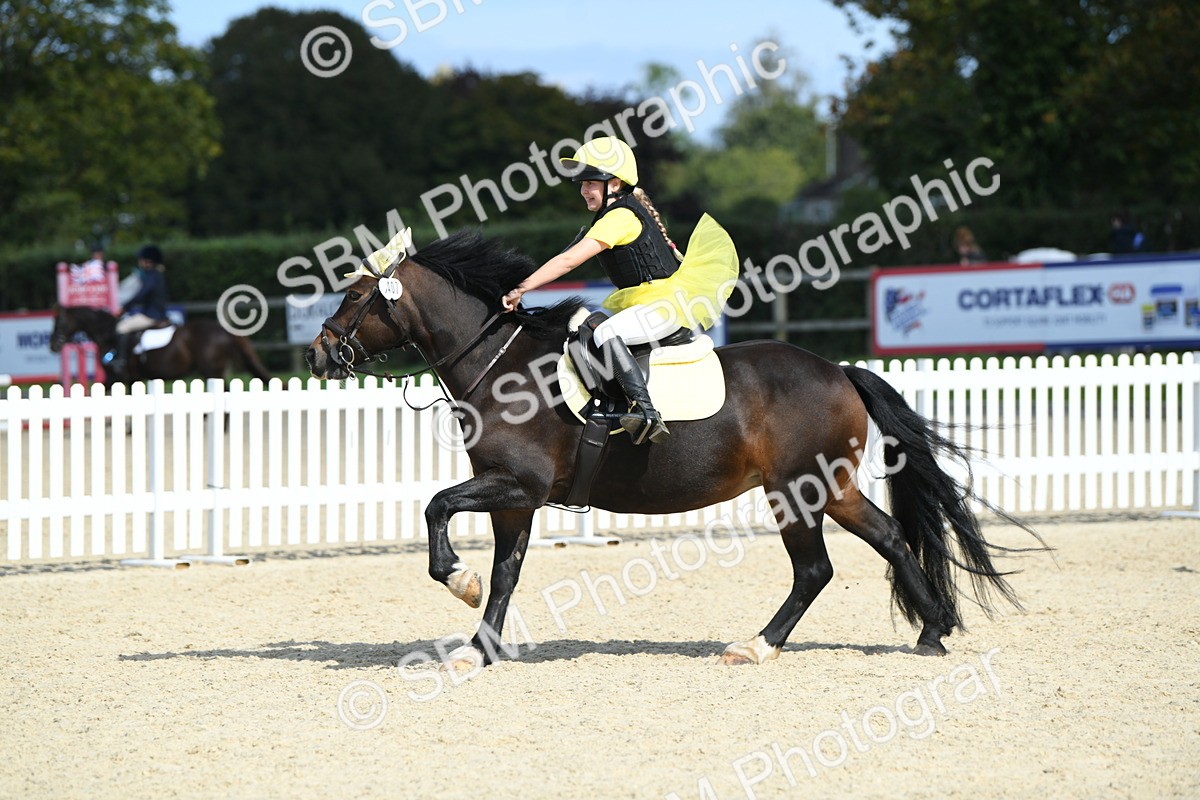 SBM_64772 - J48 - Pairs Jumping Open 70cm & 85cm