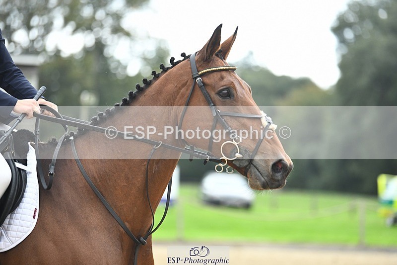 231001-141732-02853 - Cls 3 90cm