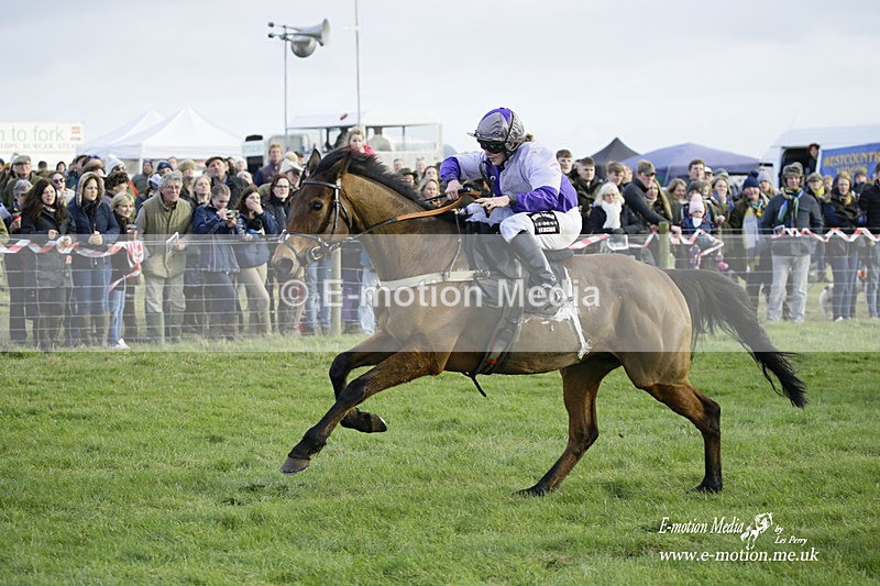 PtP 300122 535 - South Dorset Hunt - Point-to-Point Races 30/01/2022