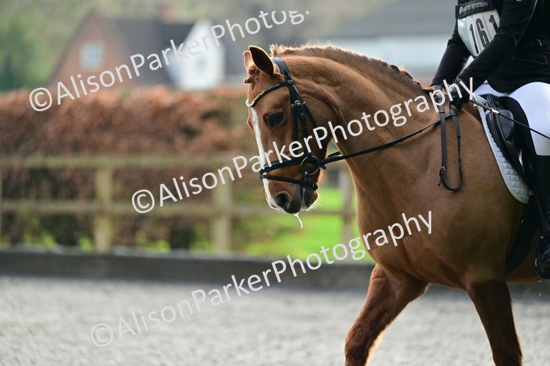 20260125-2253 - Class 11 - Grassroots