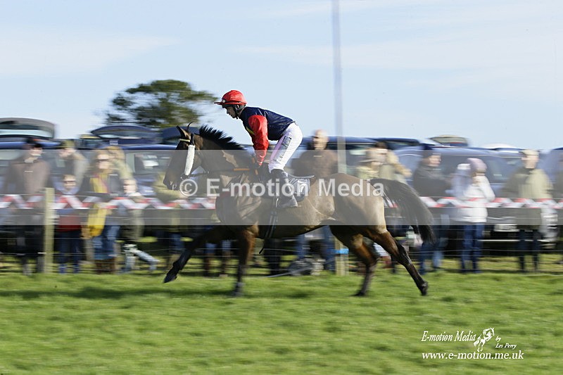 PtP 300122 195 - South Dorset Hunt - Point-to-Point Races 30/01/2022