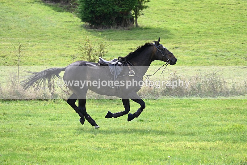 WJ7_7430 - Time 13:21 to 13:29