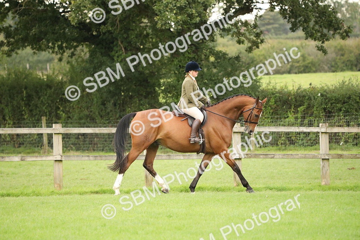 SBM_73737 - S41 - Ridden Equitation (Best Rider)