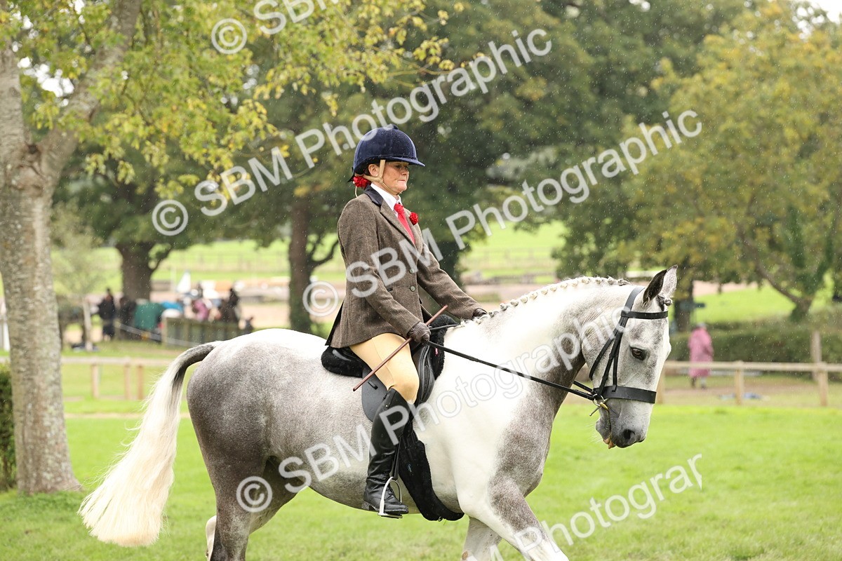 SBM_69877 - S68 - Other Coloured Horse Ridden