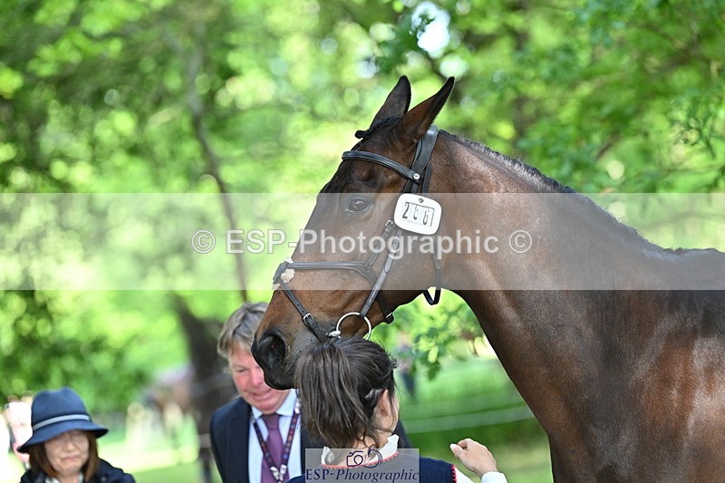 250521A-165008-01366 - C-266-Izzi.Best-BROCKAGH.DOR