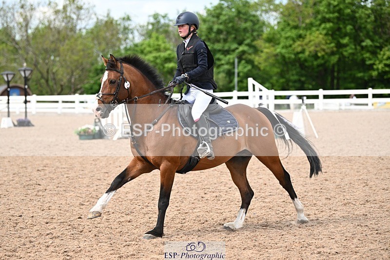 250504-152859-03765 - Cls 24 Springboard