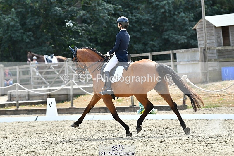 260802A-153050-07439 - Intermediate Bronze