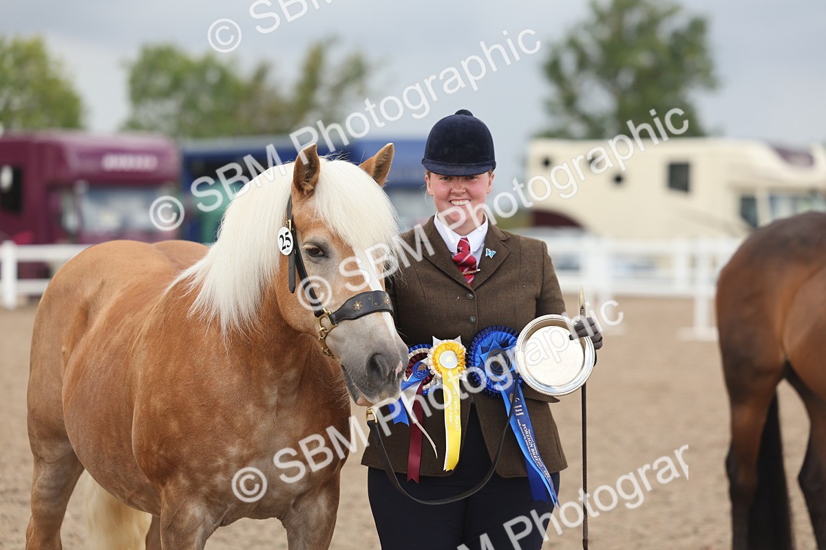 SBM_06914 - Class 25 - IH Foreign Breeds - Purebred