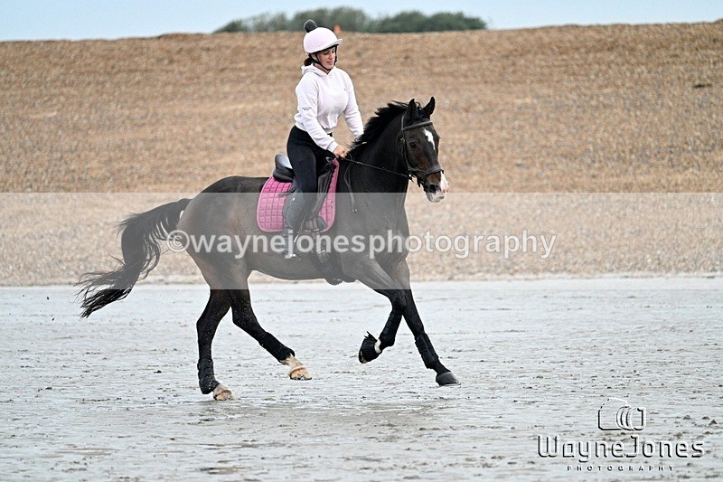 WJ7_9609 - Hayling Island Beach Shoot 22-09-24
