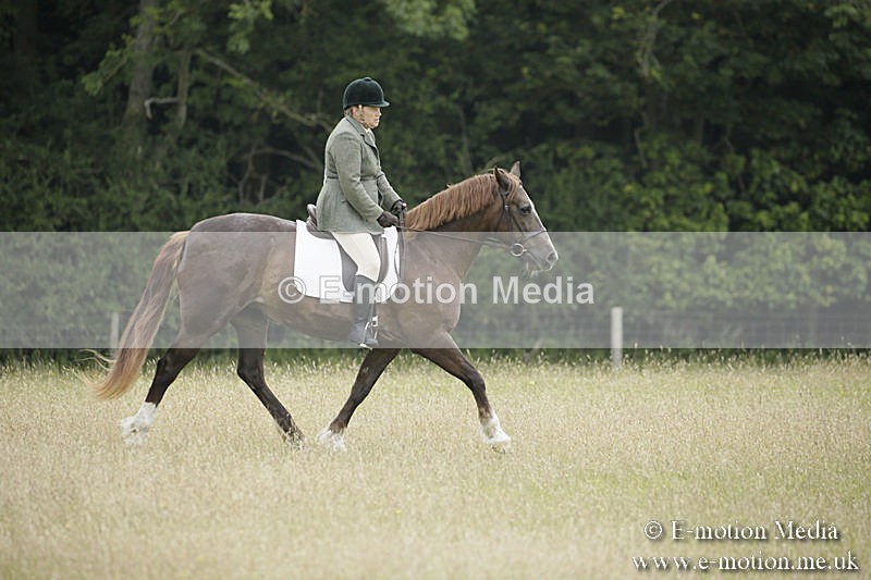 B230619-0019 - Bourne Valley Riding Club Summer Show 23/06/19