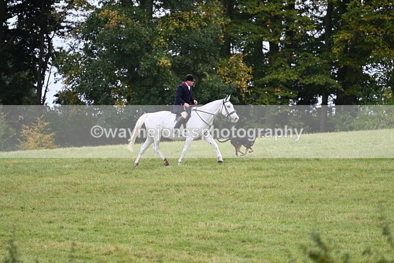 WJ7_4020 - Camera 1 Line 2