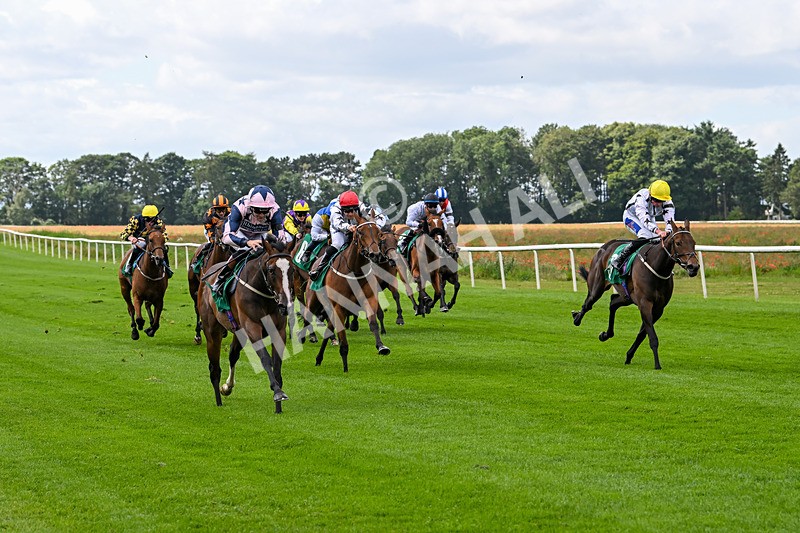 090824-Race 1-Harmonia-4355 - Race 1