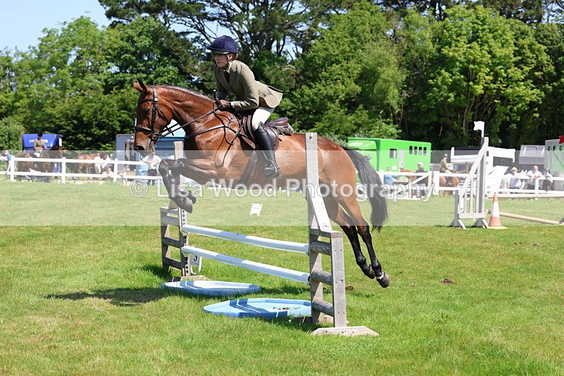 3E7A6977 - Class 30: Novice Working Hunter