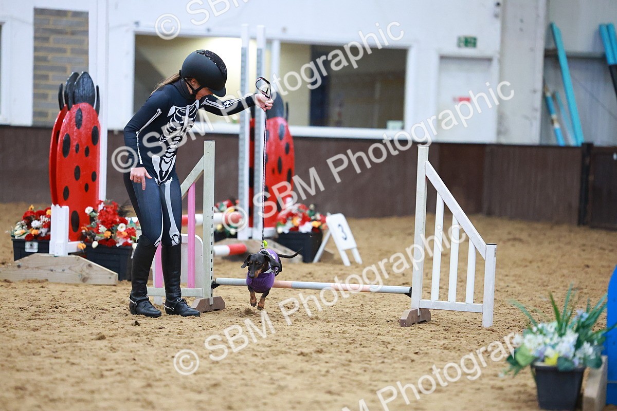 SBM_001606 - Class 3 - Horse & Hound (60cm)