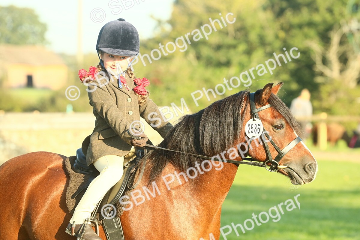 SBM_56729 - S36 - Starters Best Turnout