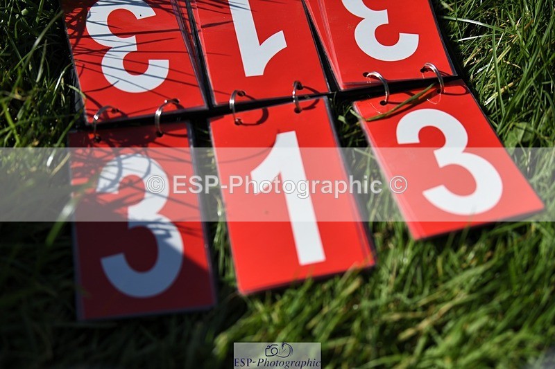 231022-125020-28627 - 313-CURTIS.DES.CHAUMES-Gilles.Serbource-XC