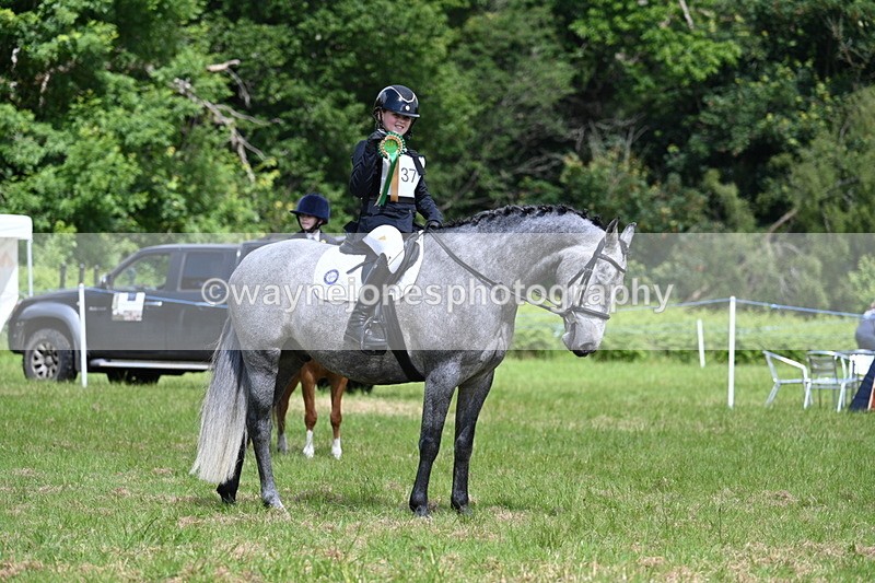 WJ7_1832 - Class 9 Pony Club Pony