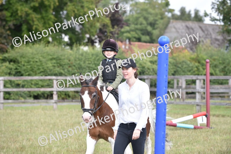 20250831-0488 - Class 7 - Absolute Novice 35cm