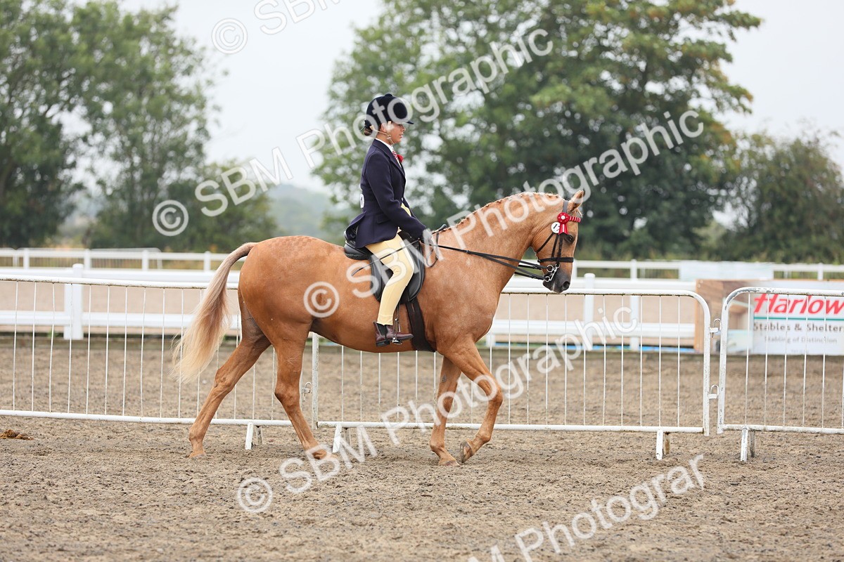 SBM_22286 - Class 807 - Young Rider 11 to 16 Yrs