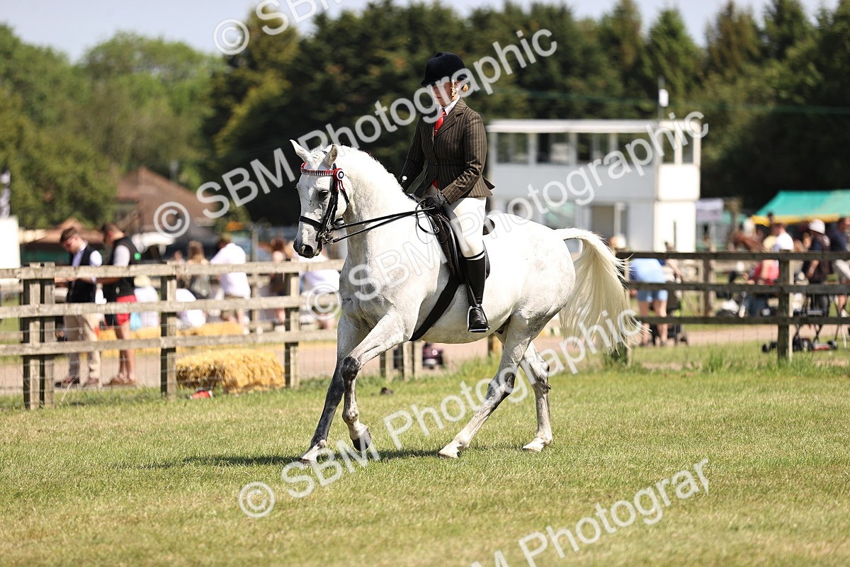 SBM_18019 - Class 81-83 - TSR Ridden Amateur of the Year - Horses