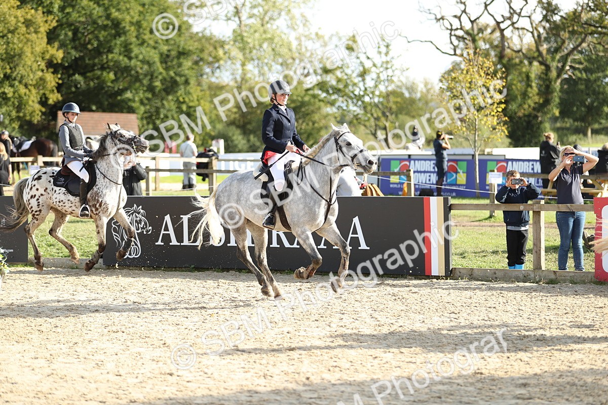 SBM_49687 - J22 - Junior Horse 65cm Championship