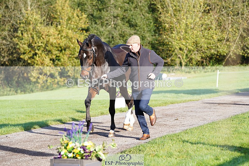 241026-100212-11556 - 005-Matthew.Heath-DIEGOS.ROSE