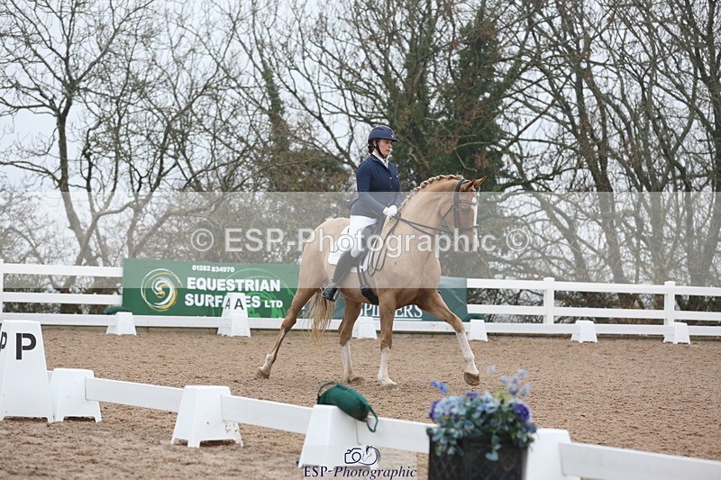 240217A-123452-02910 - 274-Clare.Smith-Dori.Dragon.Fly