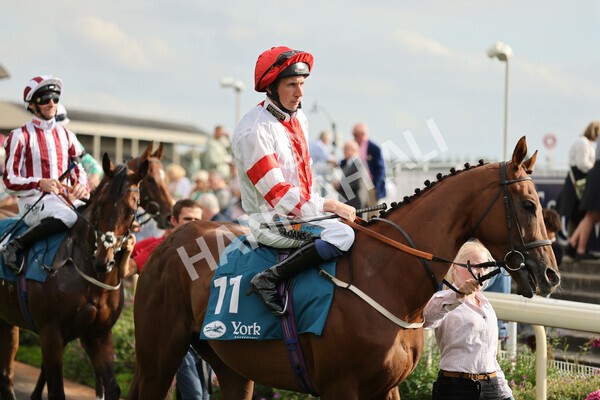 yr04092022r6-12 - Race 6 4.40pm Hanson Springs Stakes