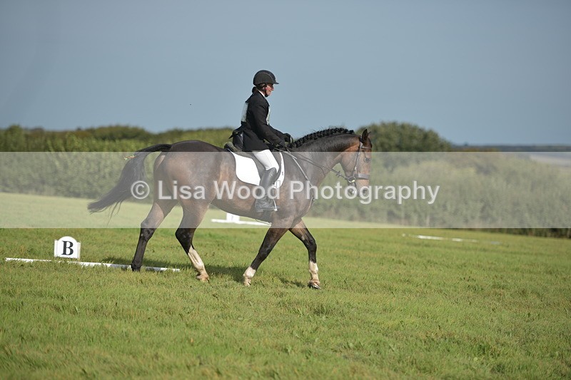 RAY_7978 - Class 2B: Trekenning Open: Dressage