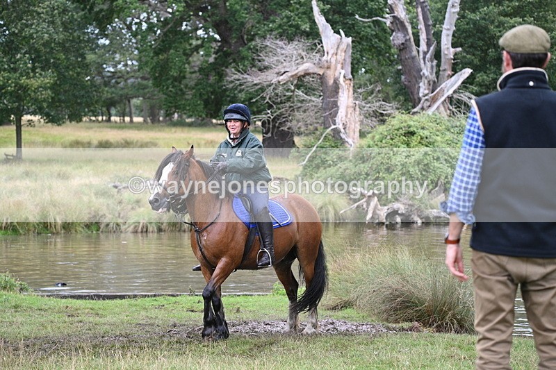 WJ7_5798 - Time at Water 14:54 to 15:14