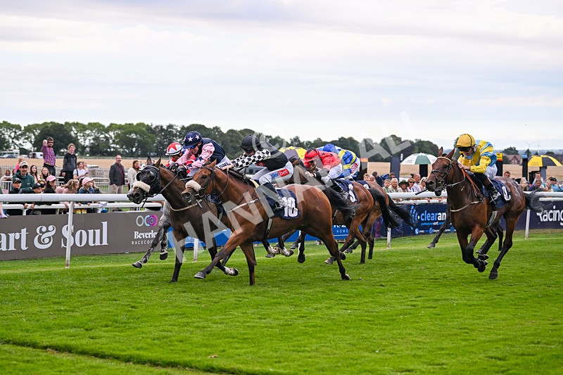 290725-Race 7-King Sharja-1273