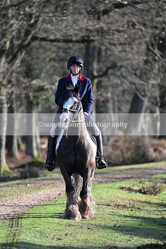 WJ7_7796 - Line 3 (no line 4 or 5)