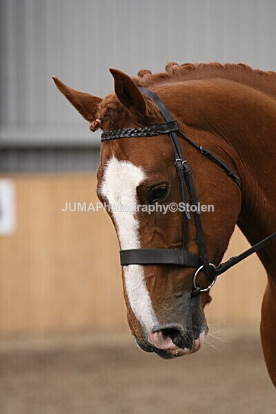 SIAL2424 - Sunday 14th Ridden