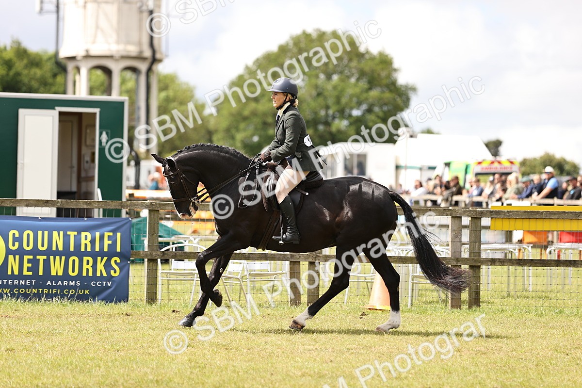 SBM_14579 - Class 88-89 - LIHS BSHA Rising Star of Ridden Hunter Type
