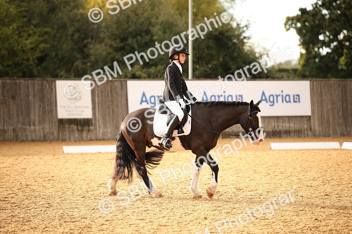 SBM_12414 - D3 Small  Tour Championship Intro A