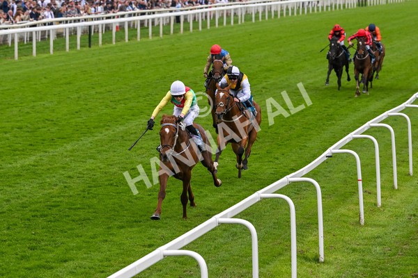 250524-Race 6-Primo Lara-4215 - Race 6 4.30pm Royal Yorkshire Regiment Handicap